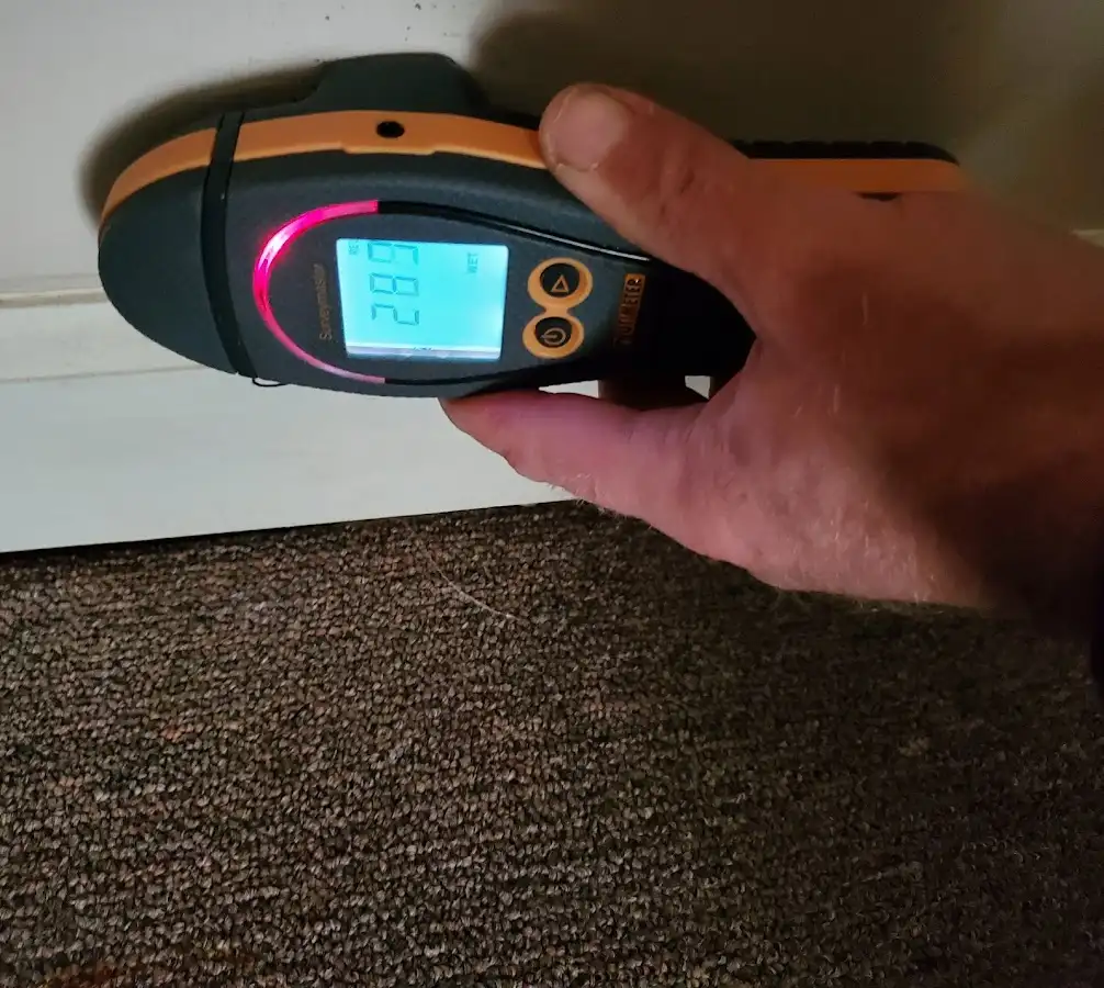 Moisture detection at baseboard during Sewage Cleanup & Sanitation in Bastrop